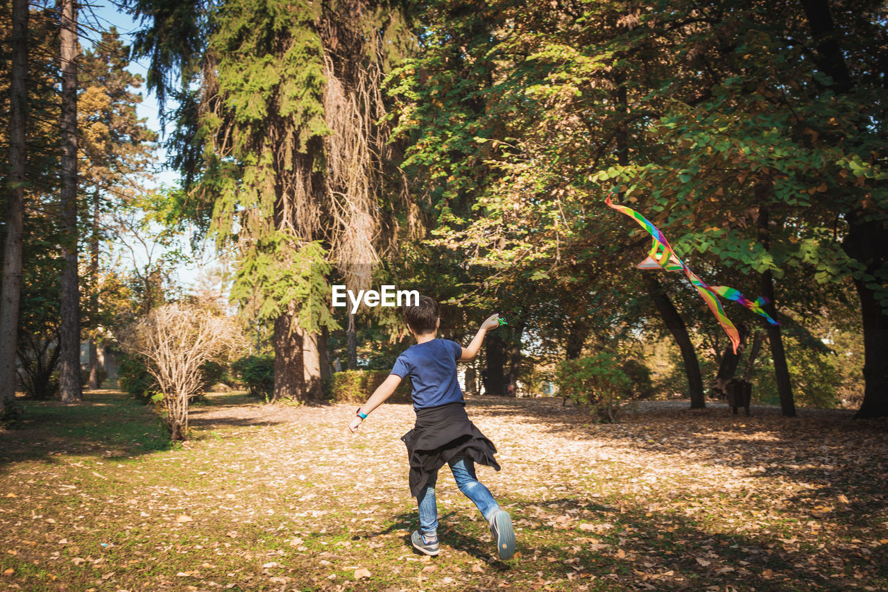 Rear view of boy running on grass amidst trees