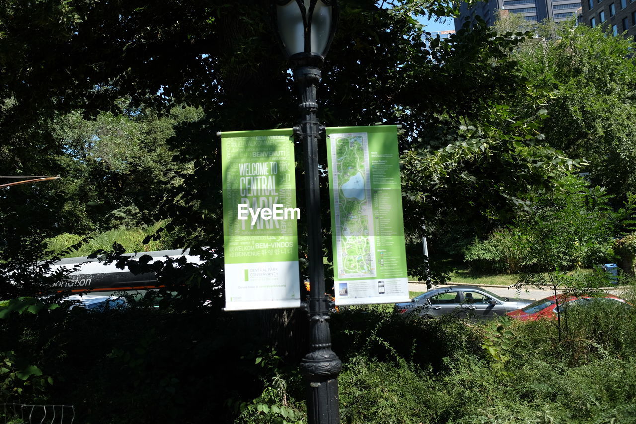 PLANTS AGAINST TREES