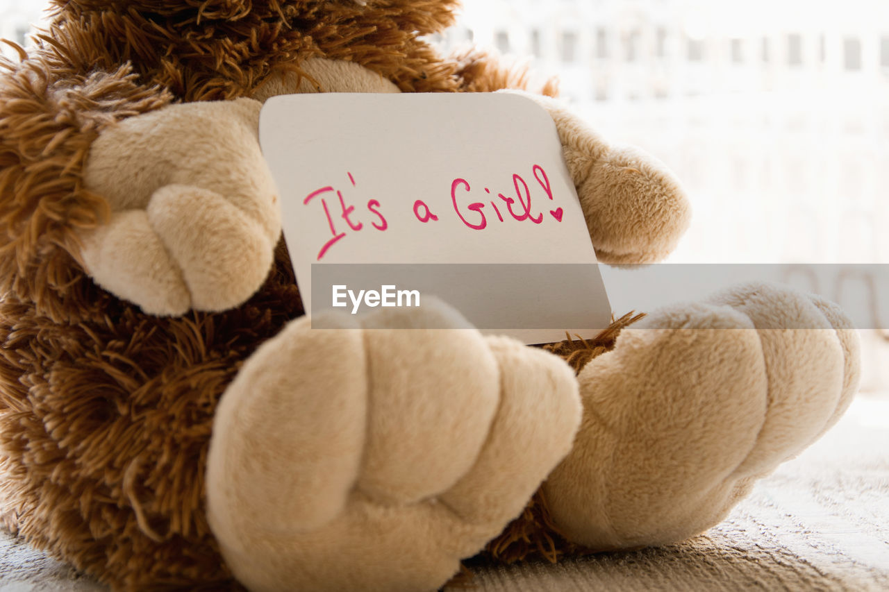 Close-up of text on paper with teddy bear on seat