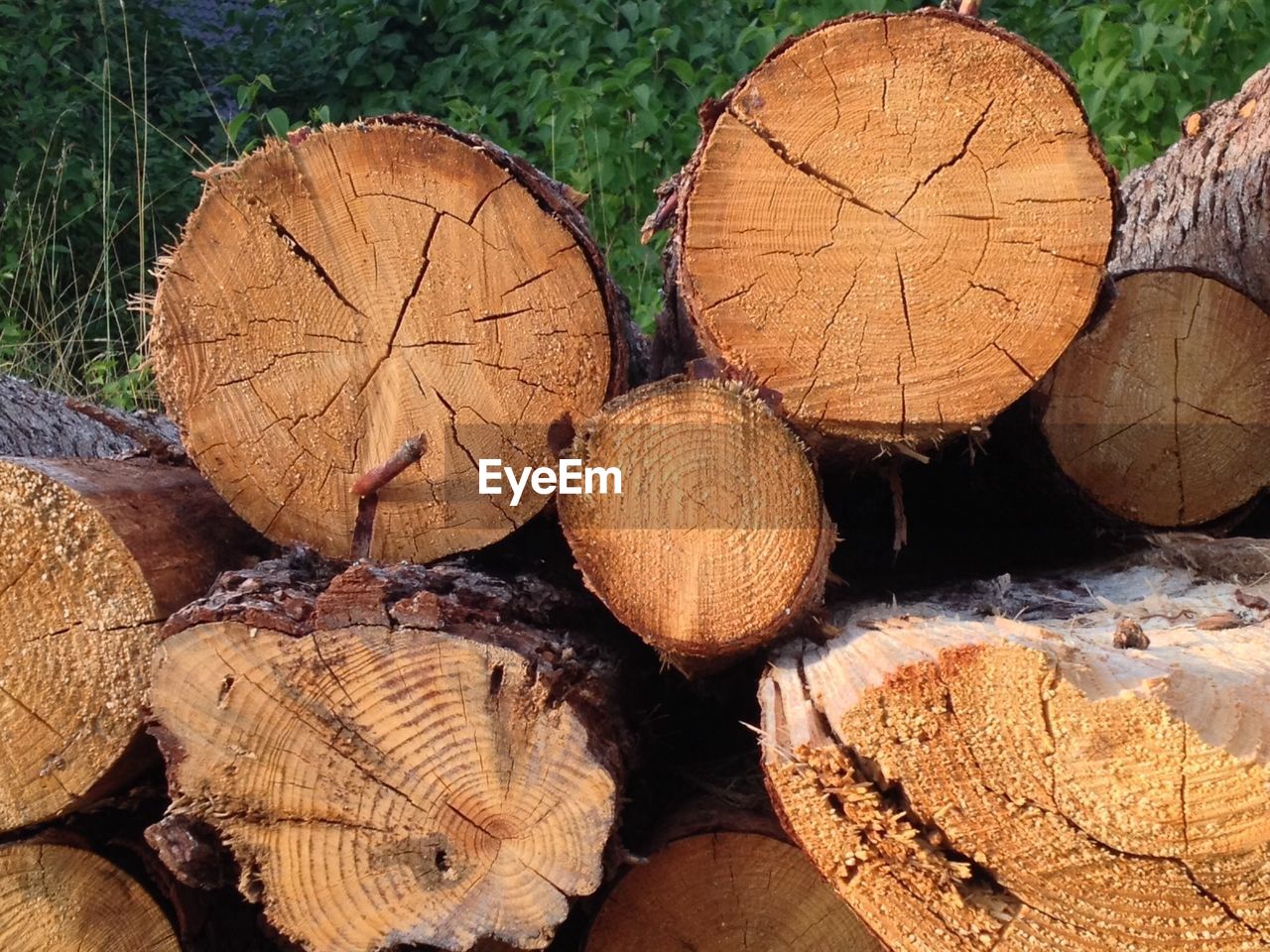 Stack of wooden logs on field