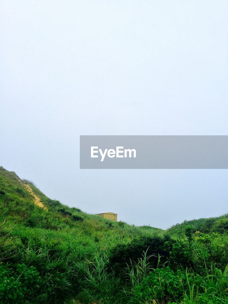 Scenic view of grassy field against clear sky