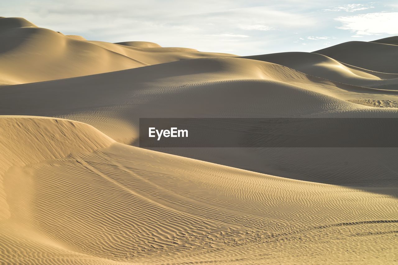 Sand dunes in a desert