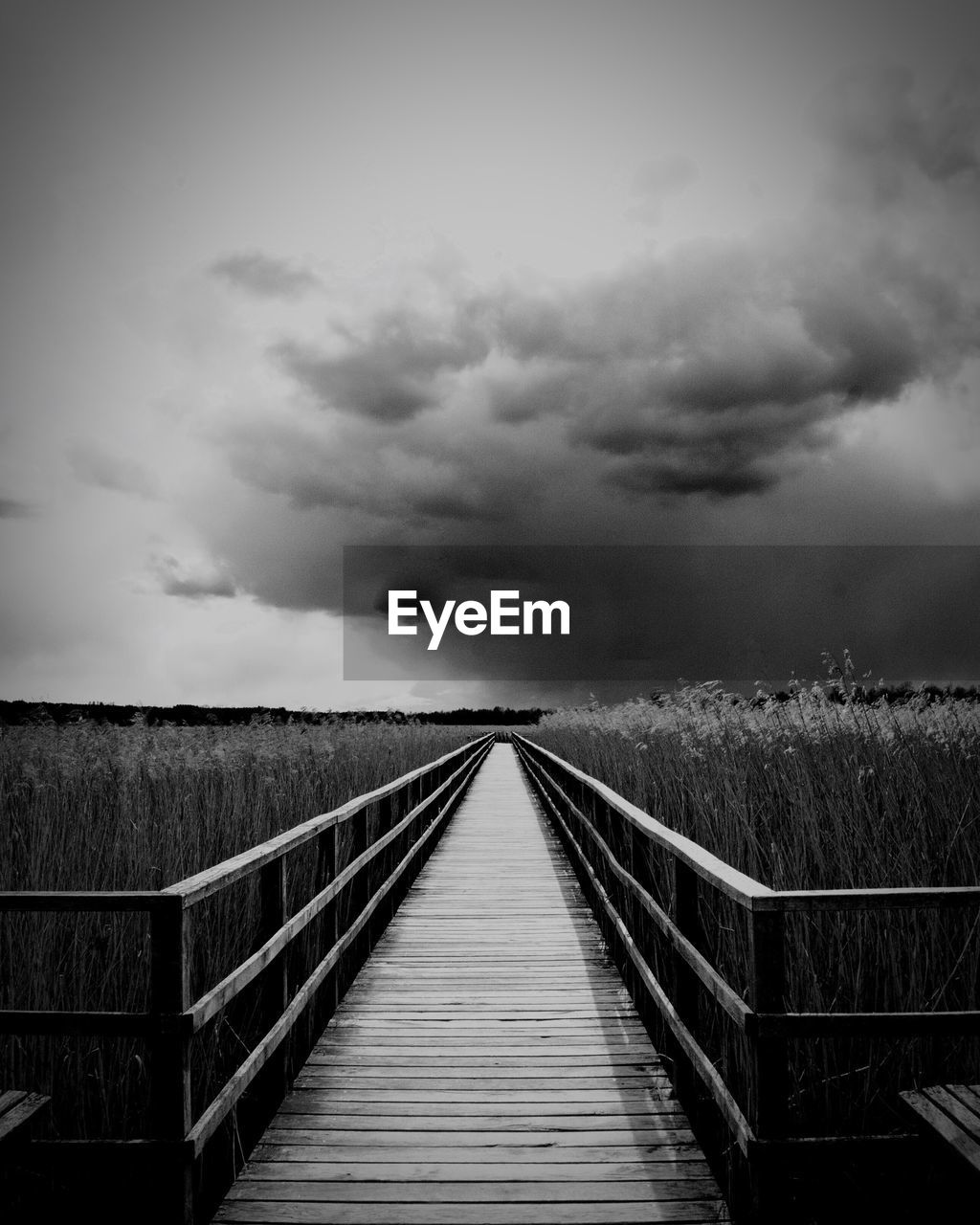 Empty boardwalk amidst field against cloudy sky