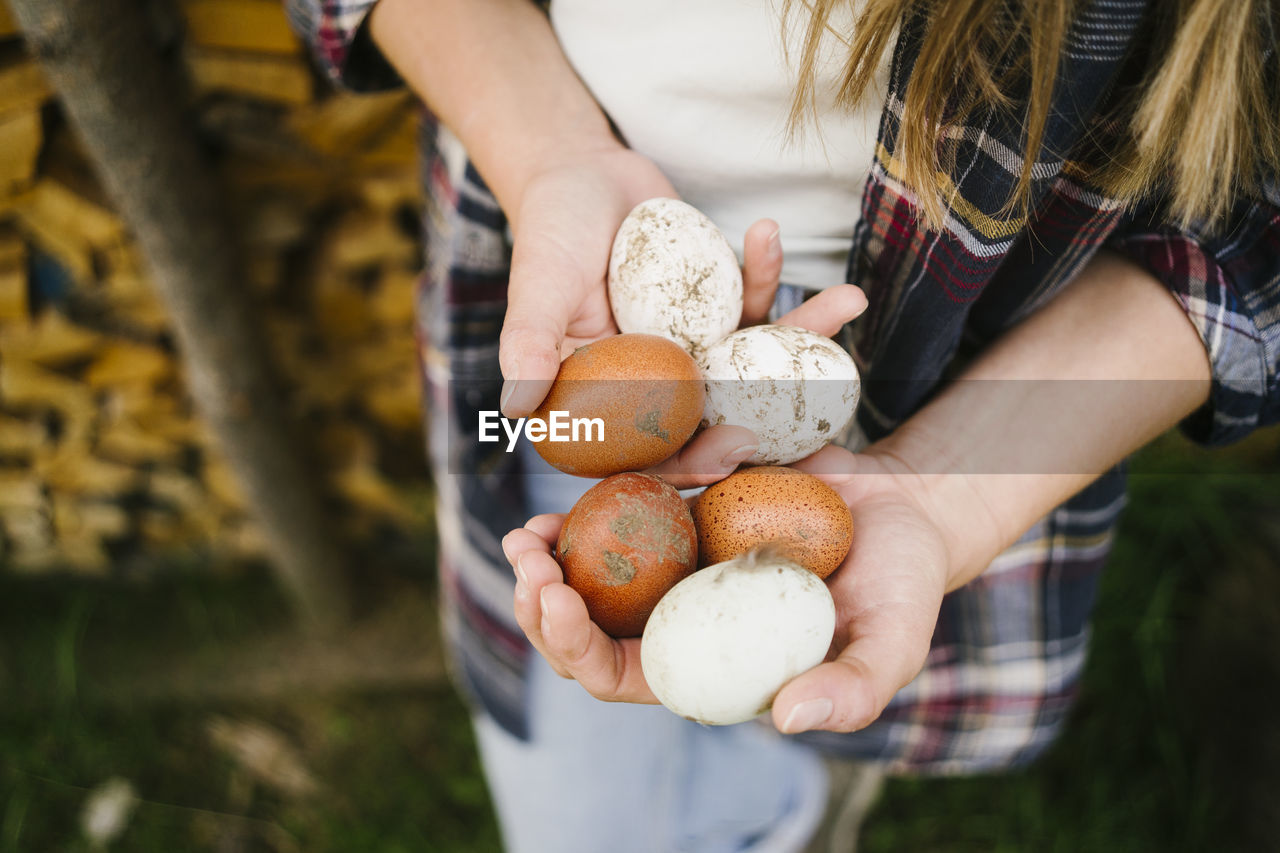 Hands of woman holding brown and white eggs