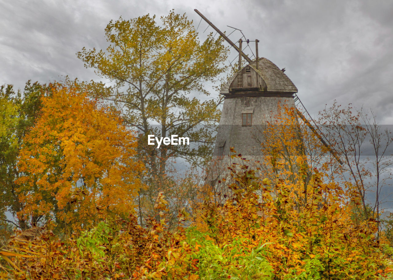 LOW ANGLE VIEW OF TREES AGAINST SKY DURING AUTUMN