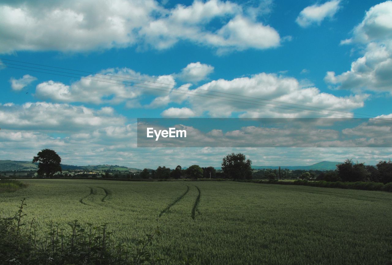 SCENIC VIEW OF RURAL LANDSCAPE