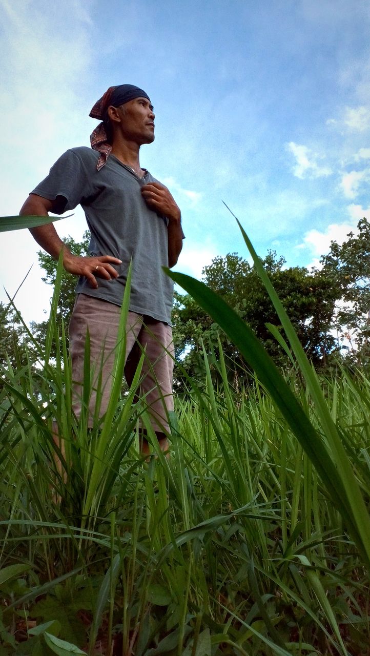 plant, one person, agriculture, grass, adult, nature, sky, men, standing, growth, crop, field, rural scene, day, land, cloud, farmer, casual clothing, low angle view, looking, landscape, leisure activity, occupation, outdoors, mature adult, full length, farm, corn, food, lawn, holding, food and drink, tree, lifestyles, flower, cereal plant, green, rural area, soil, hat, senior adult, cap, three quarter length, gardening