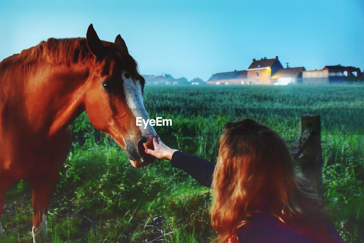 REAR VIEW OF WOMAN WITH HORSE ON FIELD AT LAND