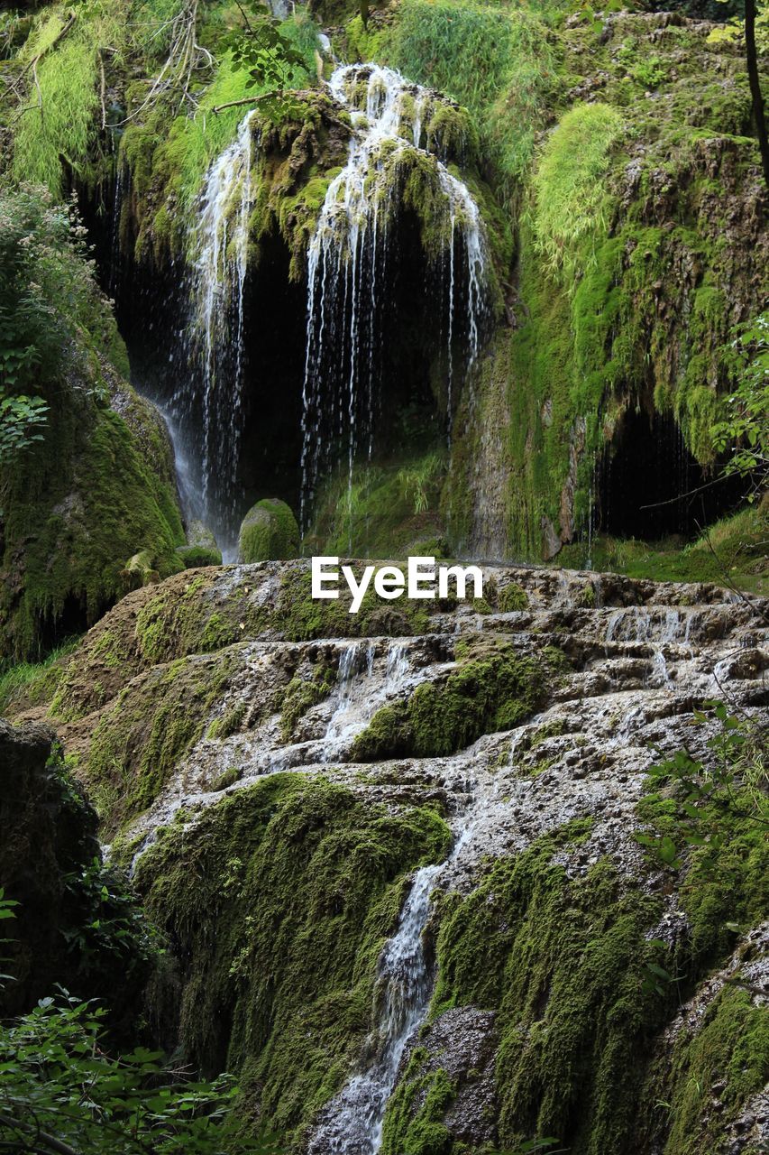 SCENIC VIEW OF WATERFALL AGAINST TREES