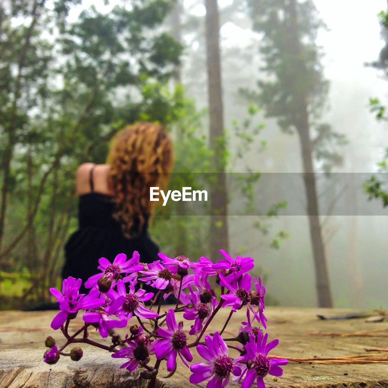 Rear view of woman sitting at forest with purple flowers in foreground