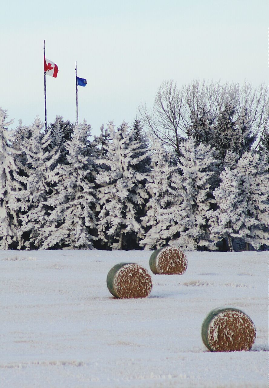 Hay bales on snow covered field against clear sky