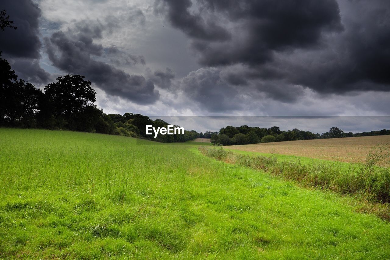 SCENIC VIEW OF FARM AGAINST SKY