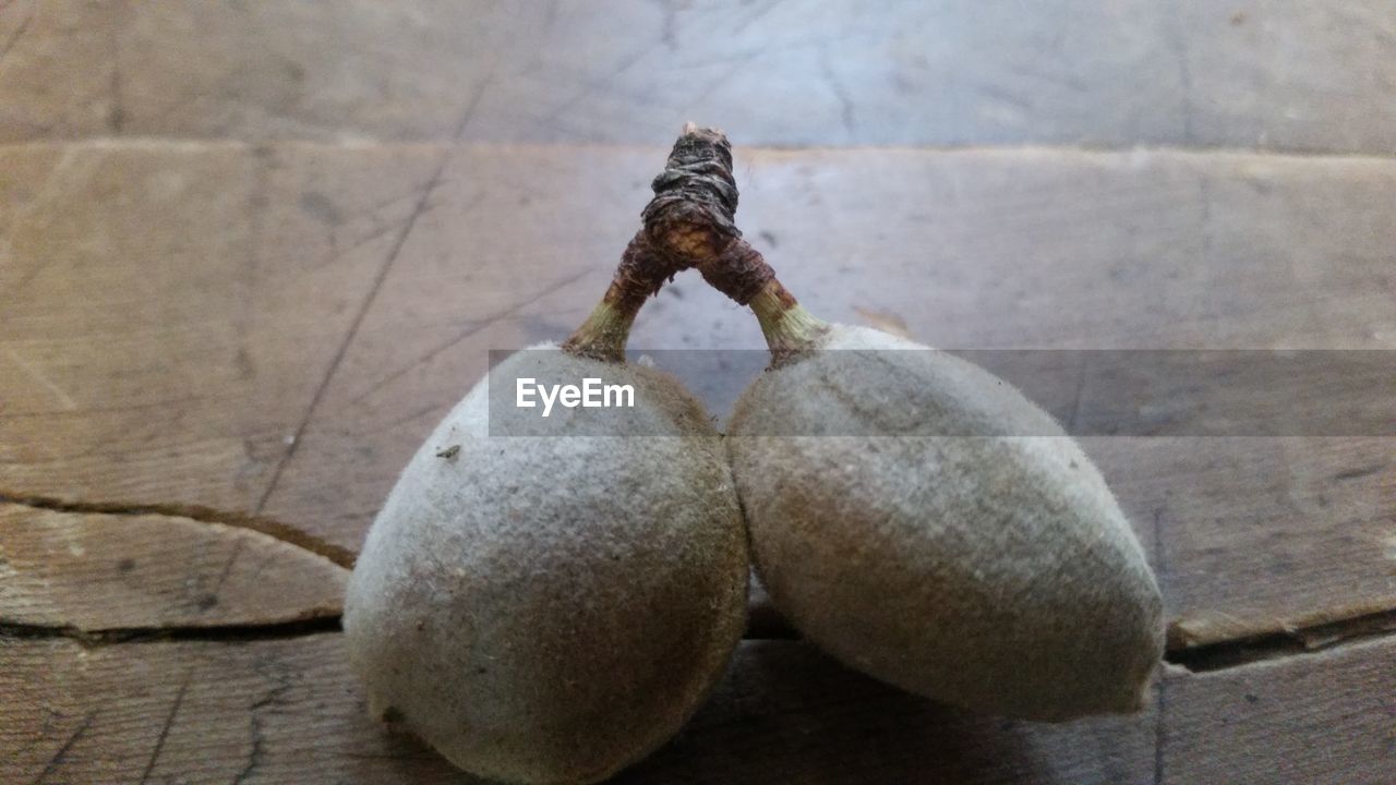 CLOSE UP OF WOOD ON WOODEN FLOOR