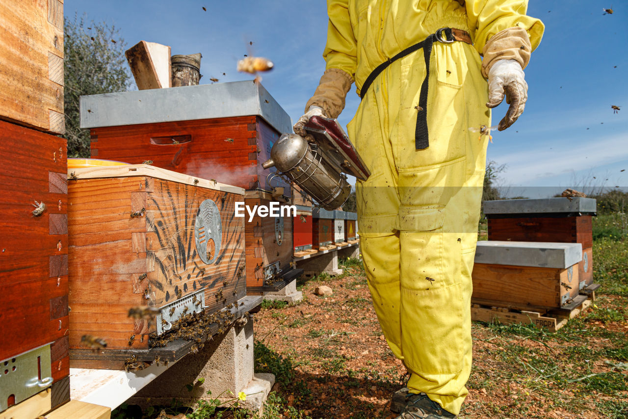 Cropped unrecognizable beekeepers in protective costume and mask using smoker while inspecting honeycomb in apiary  person