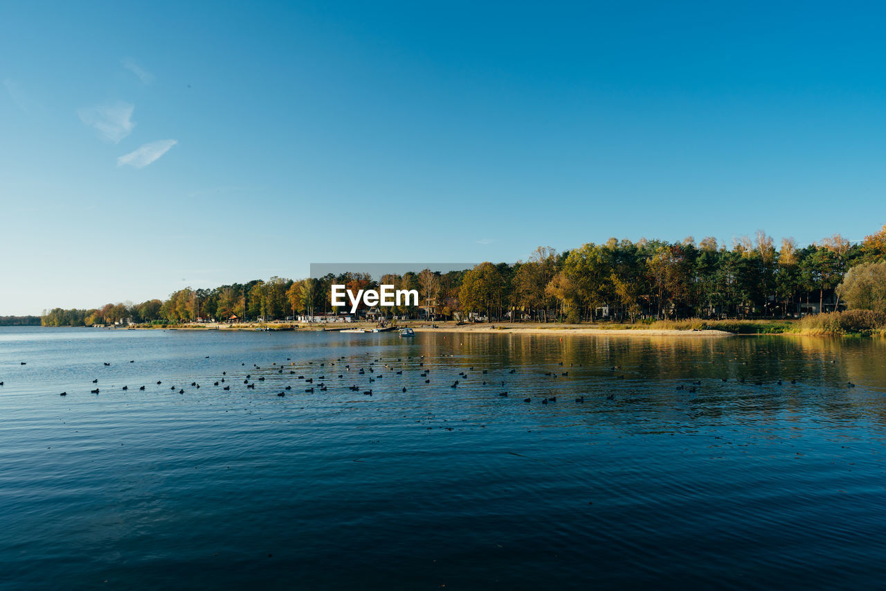 Scenic view of lake against clear blue sky