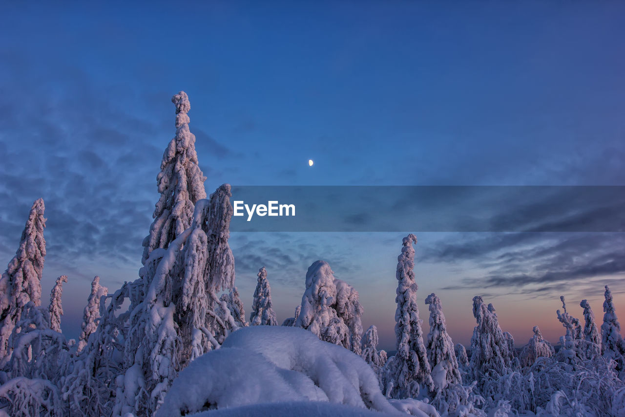 Scenic view of snowcapped landscape against blue sky