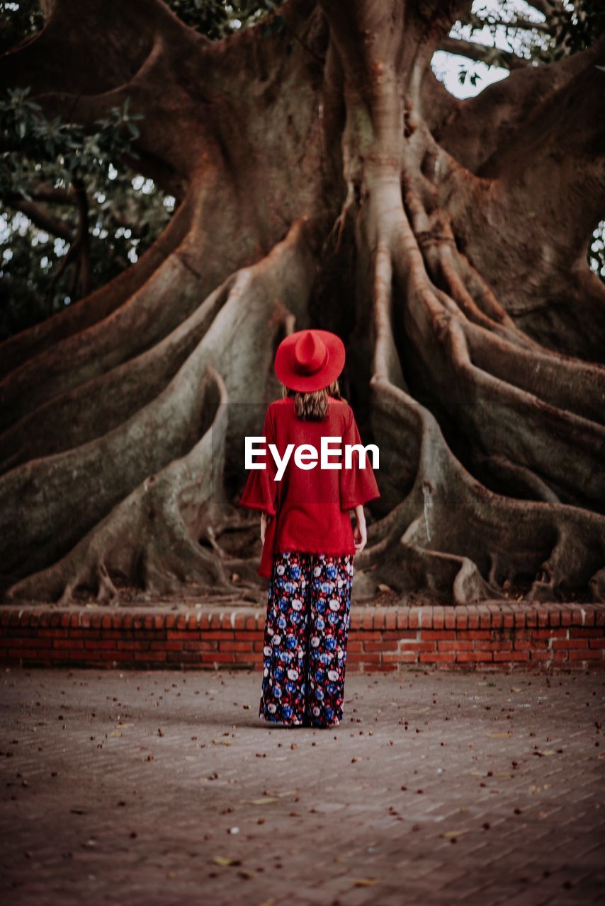 Rear view of woman standing by tree