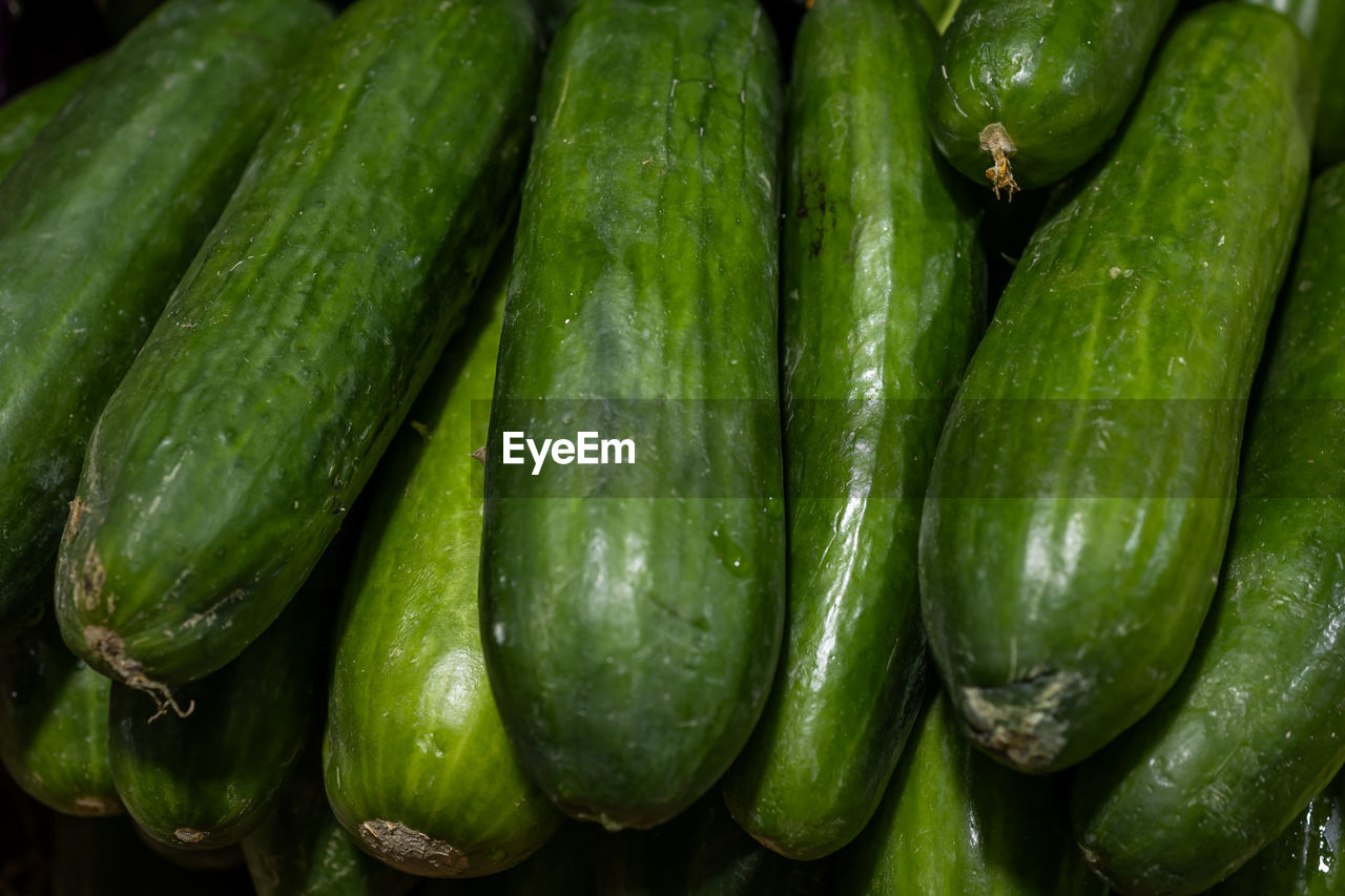 food and drink, food, green, healthy eating, freshness, produce, vegetable, wellbeing, plant, cucumber, large group of objects, market, no people, abundance, retail, zucchini, close-up, full frame, summer squash, backgrounds, organic, business, gherkin, gourd, market stall, for sale, raw food