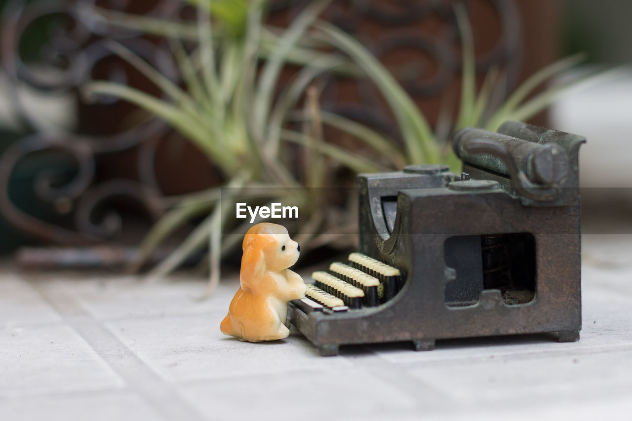 Toy dog with typewriter on floor at porch