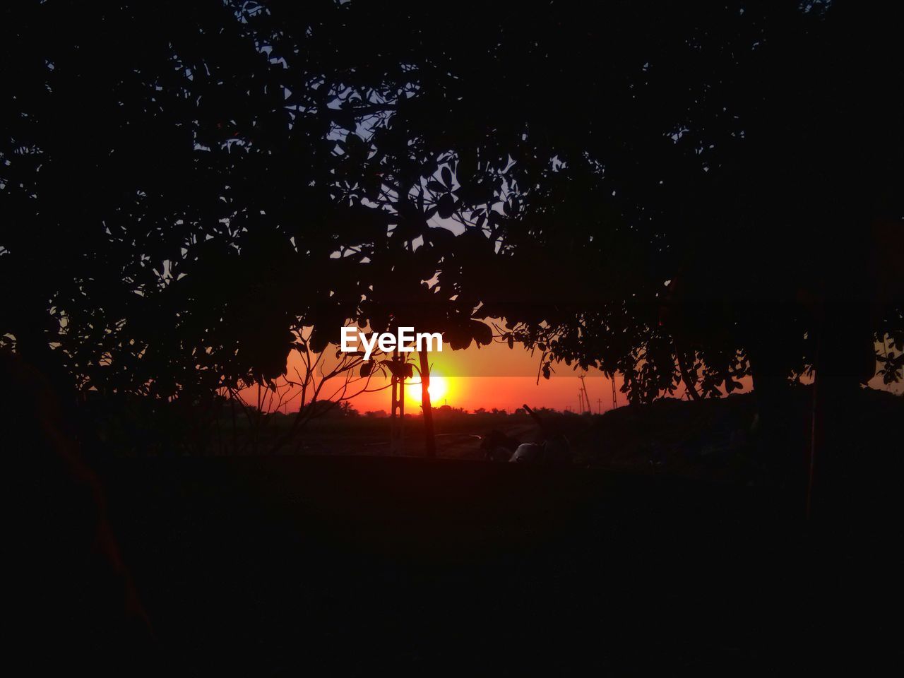SILHOUETTE TREES AGAINST SKY DURING SUNSET