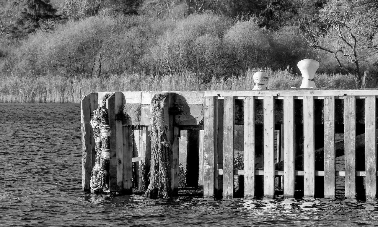 WOODEN POST IN LAKE