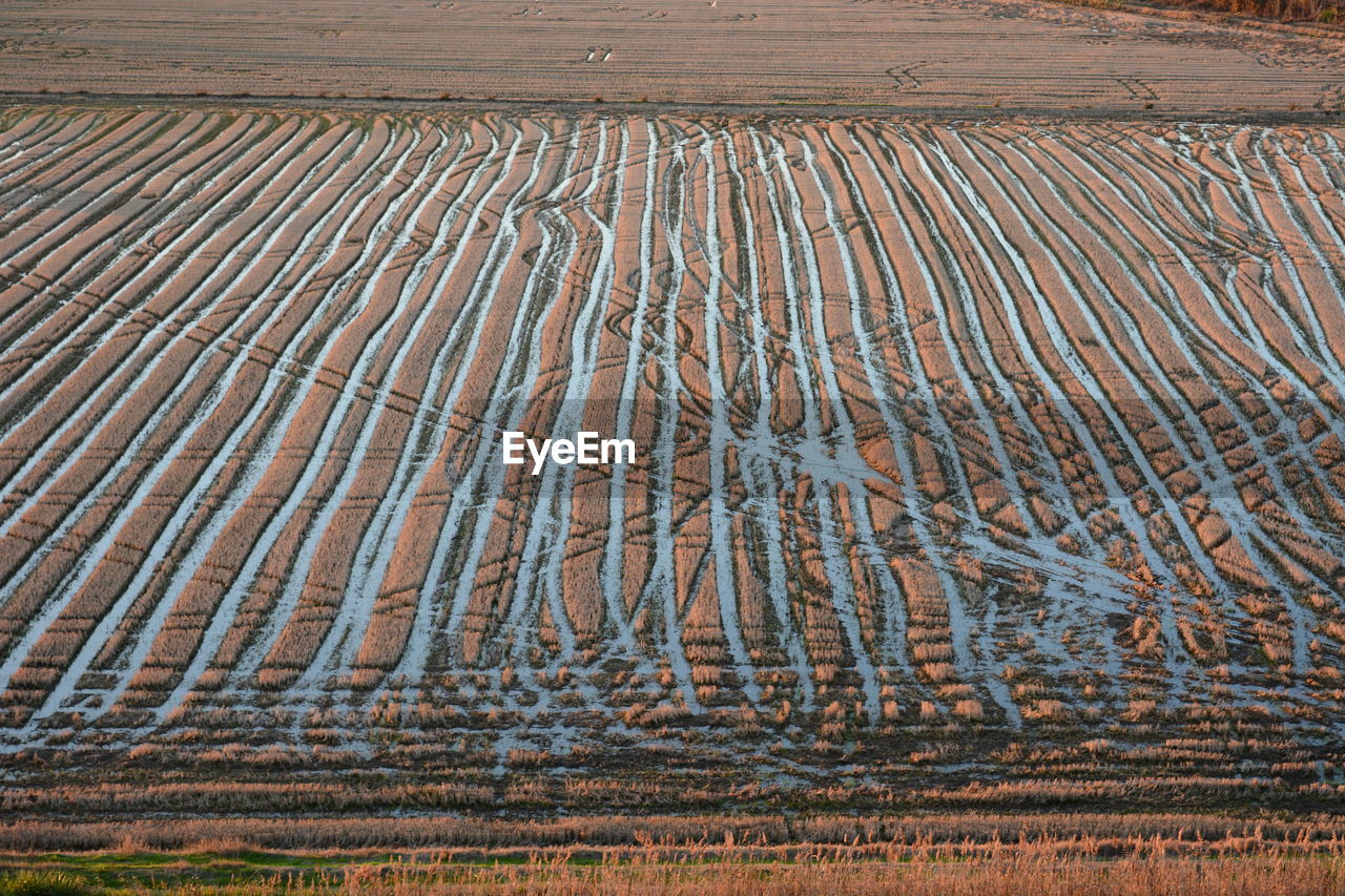 FULL FRAME SHOT OF AGRICULTURAL LANDSCAPE