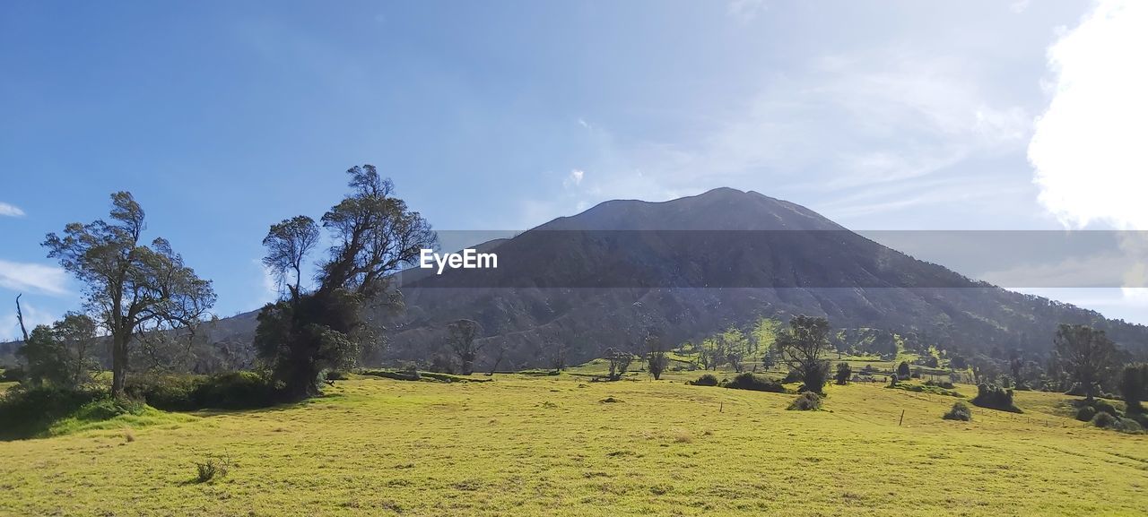 SCENIC VIEW OF FIELD AND MOUNTAINS AGAINST SKY