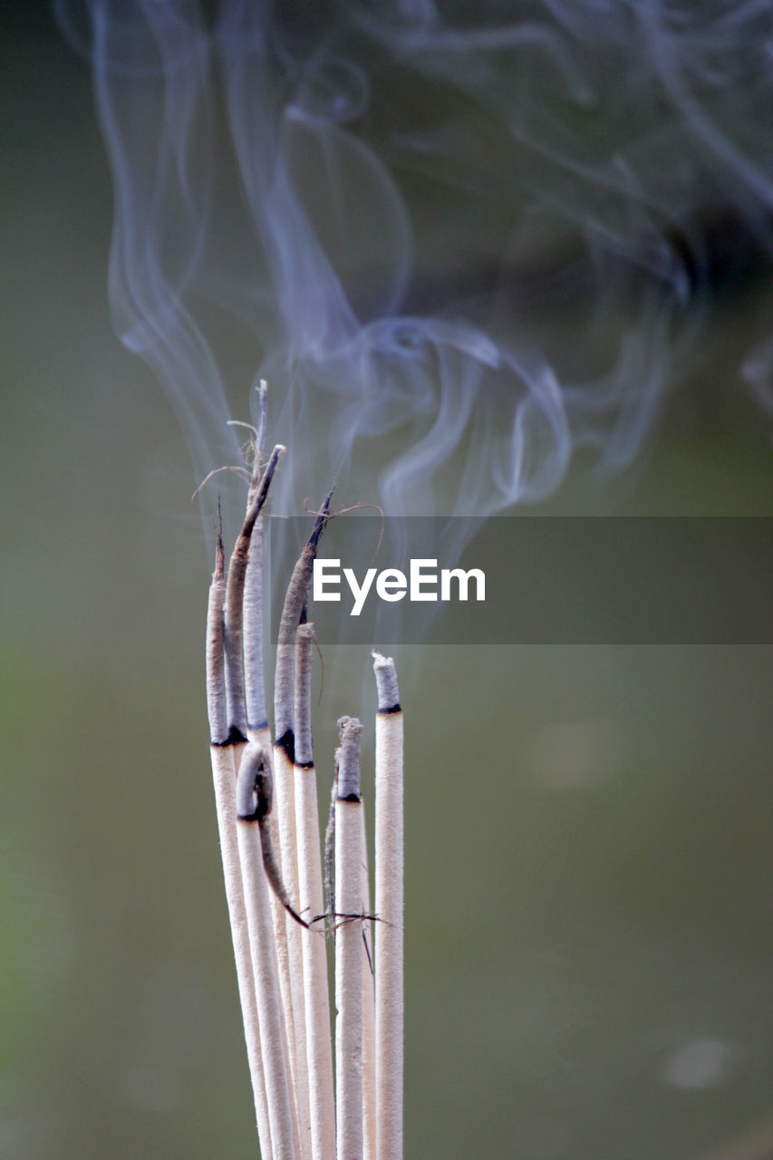 Incense burn to worship the buddha and the sacred.