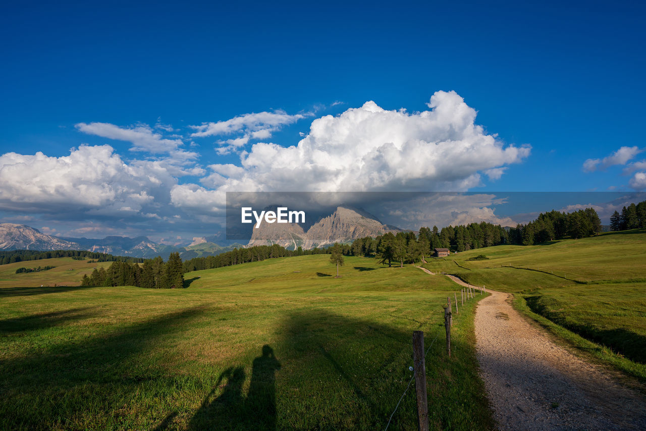 PANORAMIC VIEW OF LANDSCAPE AGAINST BLUE SKY