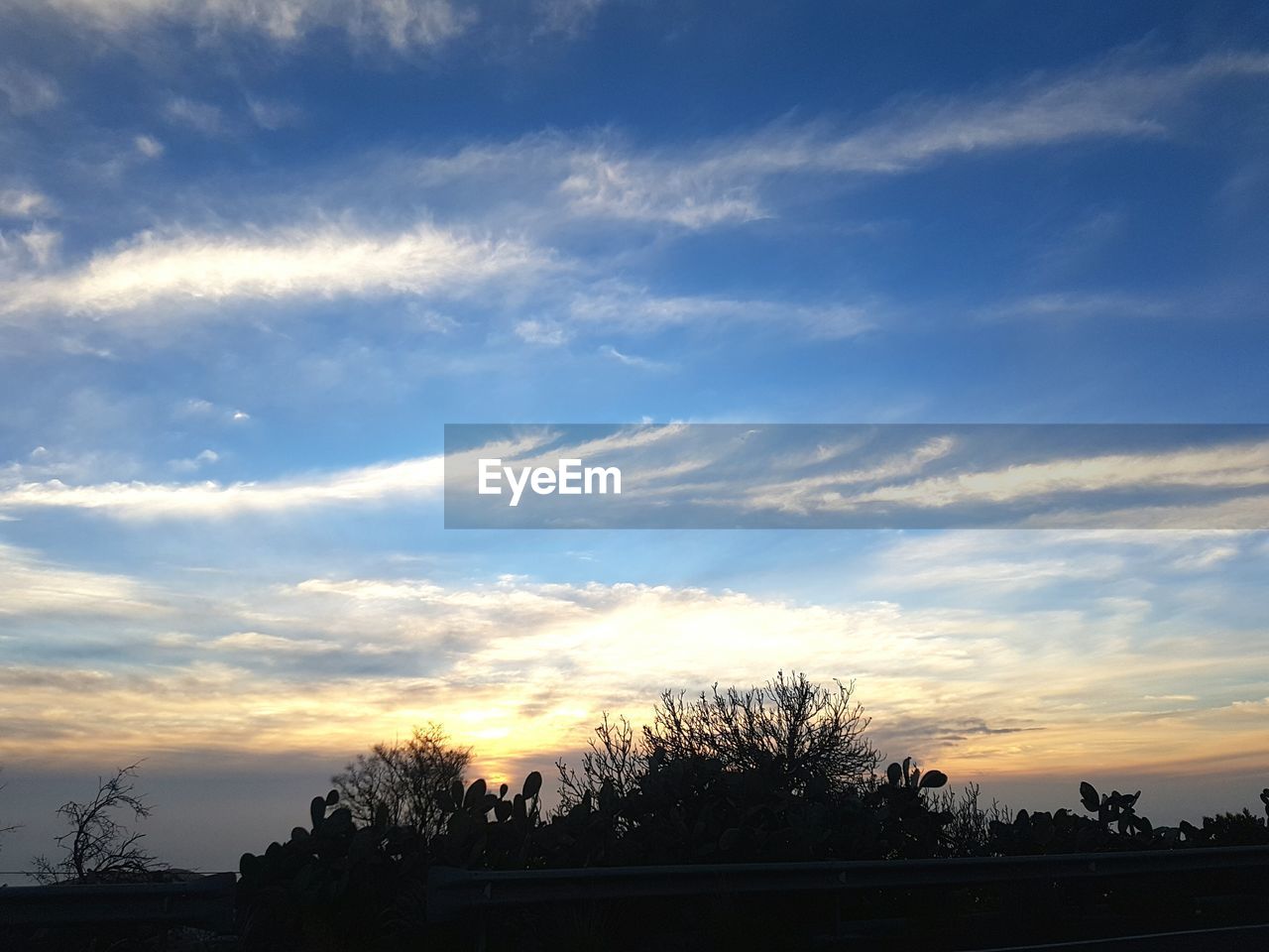 LOW ANGLE VIEW OF SILHOUETTE TREE AGAINST SKY