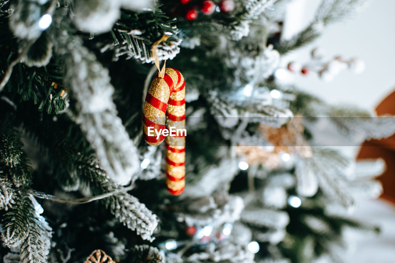 close-up of christmas tree