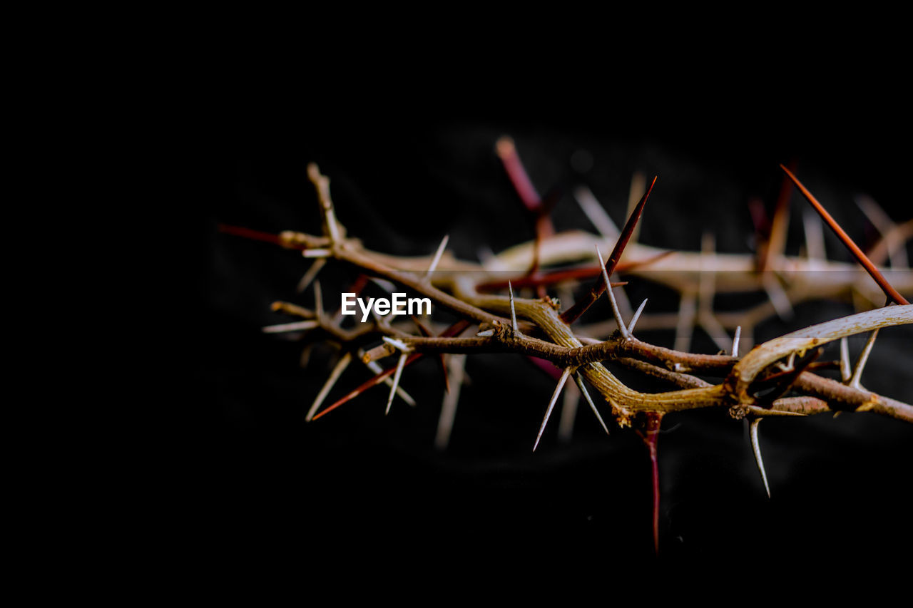Crown of thorns and nails symbols of the christian crucifixion in easter