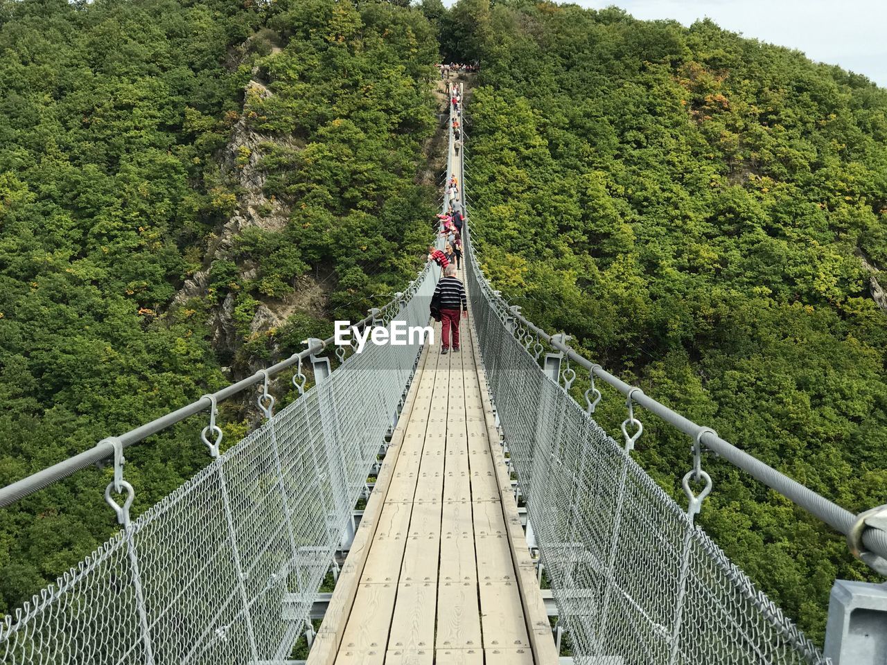 REAR VIEW OF FOOTBRIDGE AMIDST TREES