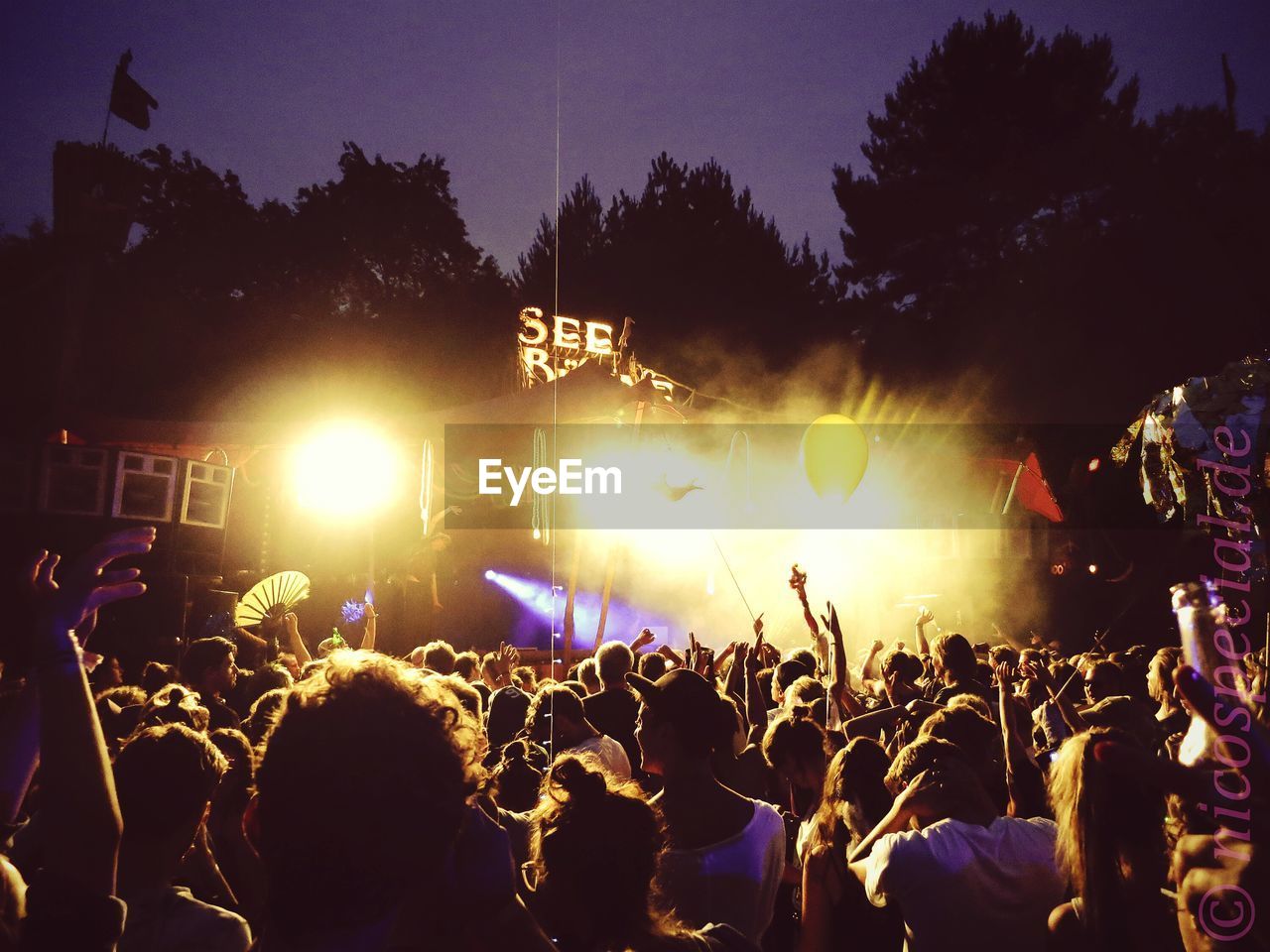 People enjoying at concert against trees in night