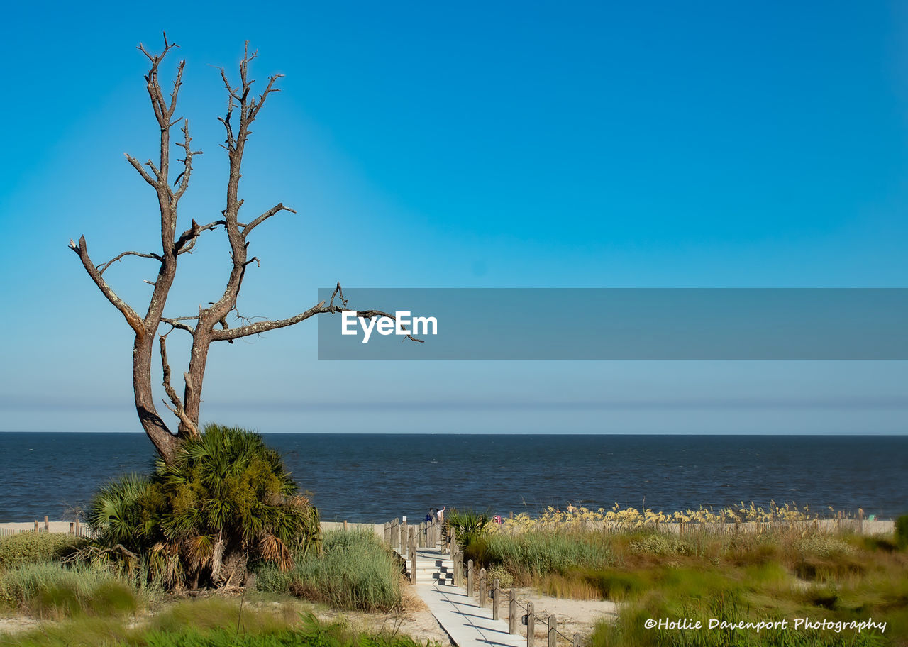 Scenic view of sea against clear blue sky