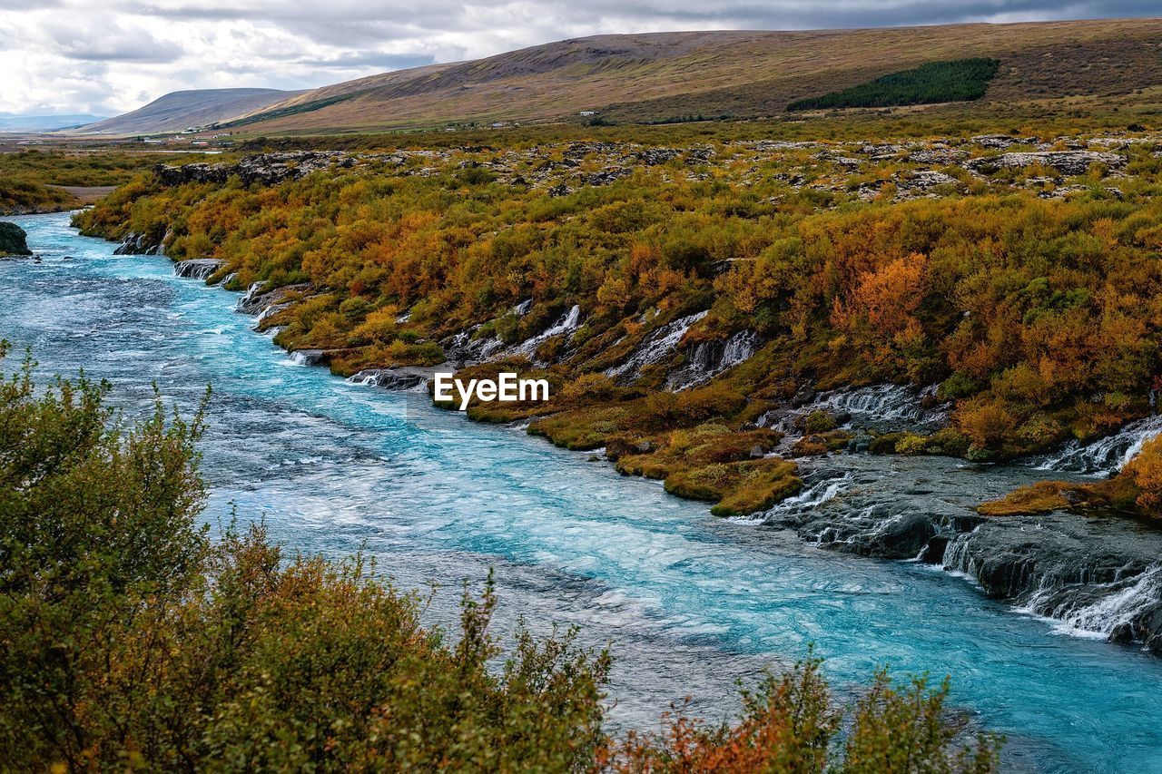 SCENIC VIEW OF STREAM AMIDST TREES AND MOUNTAINS