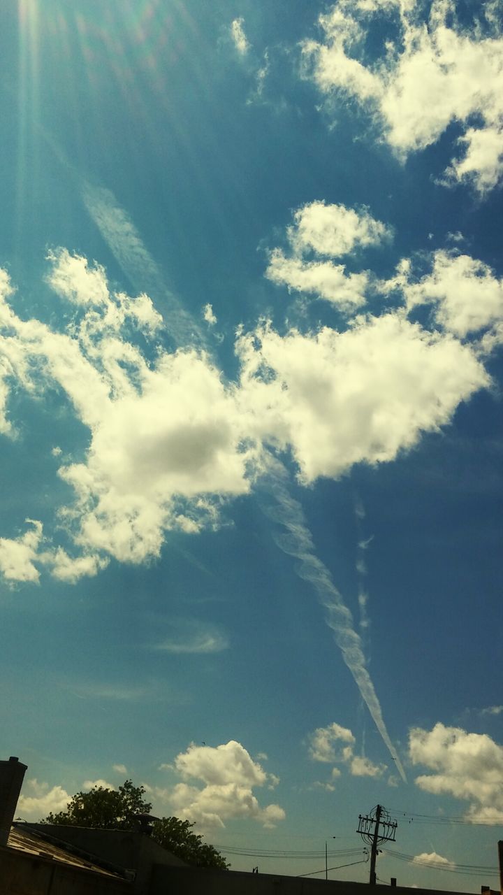 LOW ANGLE VIEW OF TREES AGAINST SKY