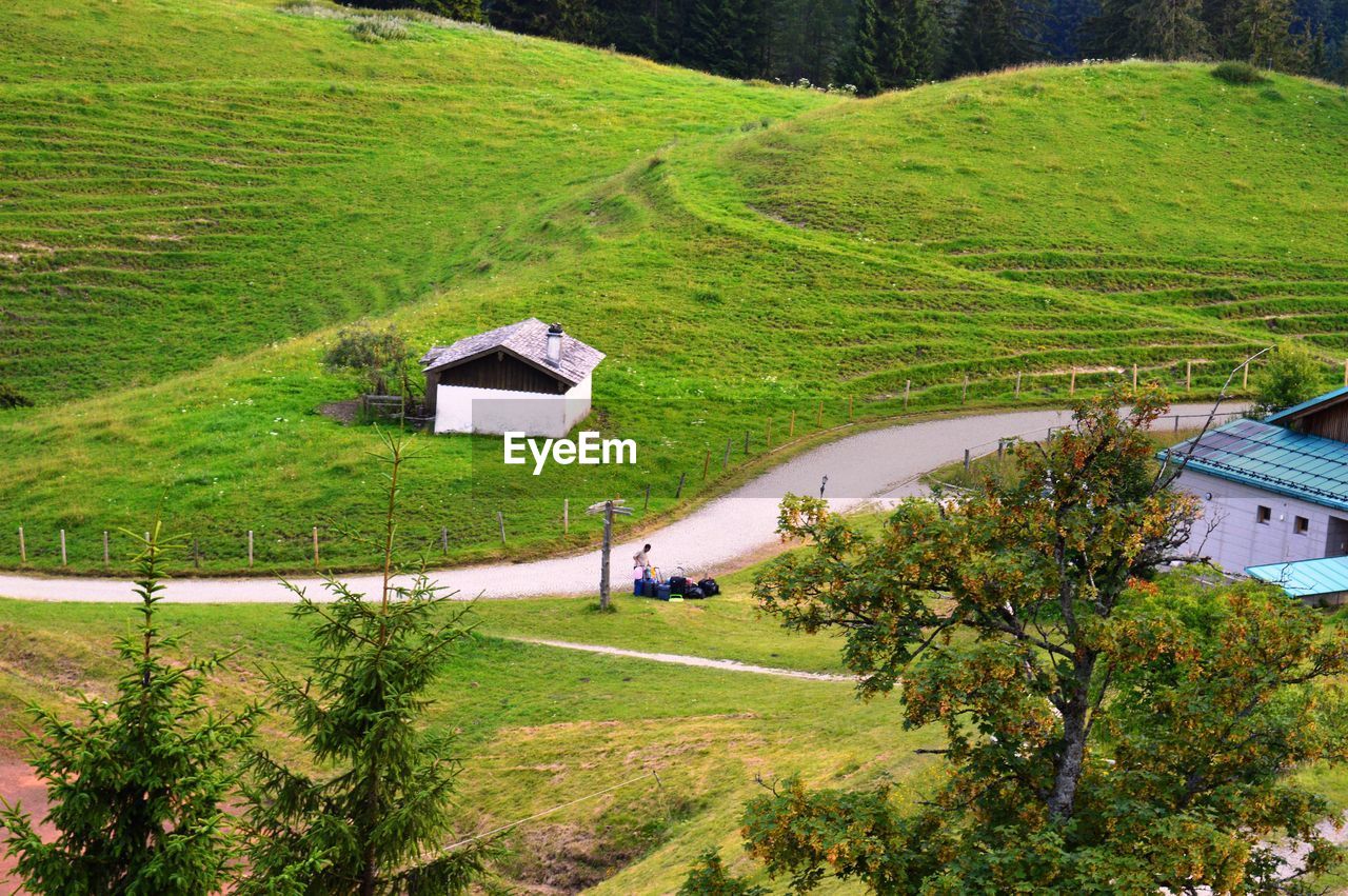 HIGH ANGLE VIEW OF TREES AND BUILDINGS