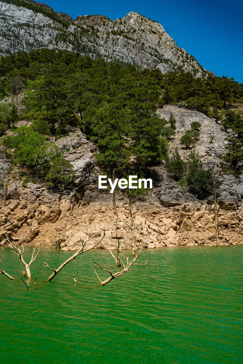 water, nature, scenics - nature, mountain, beauty in nature, environment, tree, plant, land, landscape, sky, sea, travel destinations, no people, tranquility, green, travel, animal wildlife, non-urban scene, tranquil scene, terrain, day, pinaceae, clear sky, rock, outdoors, animal, forest, blue, tourism, pine tree, coniferous tree, wilderness, mountain range, animal themes, sunny, cliff, pine woodland, coast, idyllic