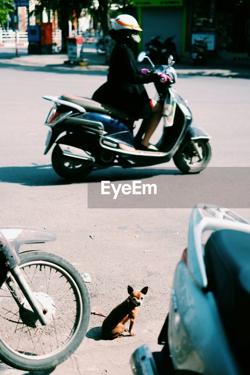 Woman riding motor scooter on road