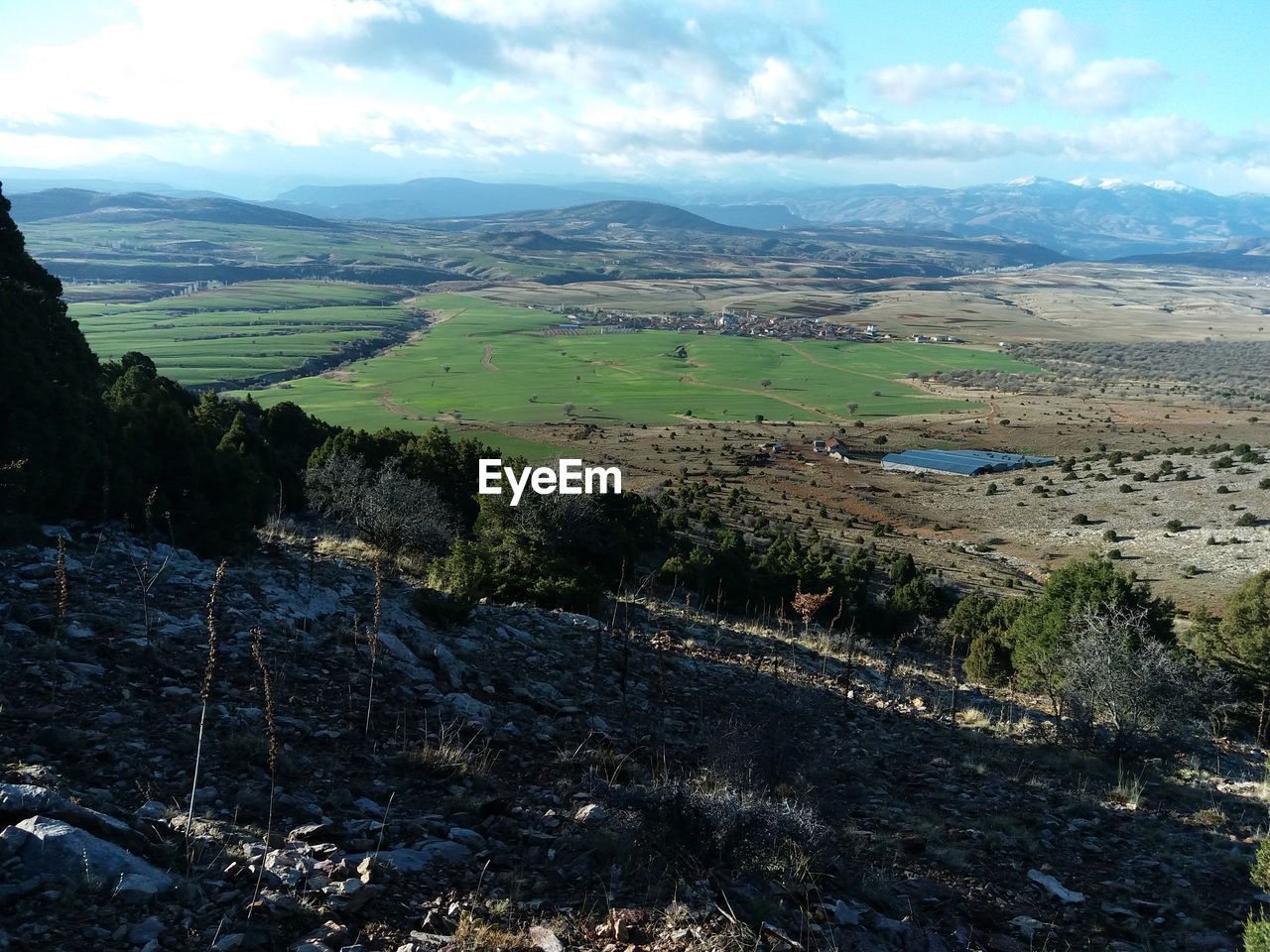 SCENIC VIEW OF RURAL LANDSCAPE