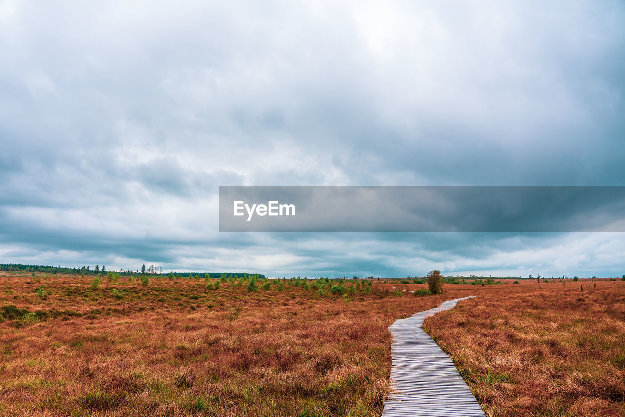 Landscape in the high fens nature park in the eifel, belgium.