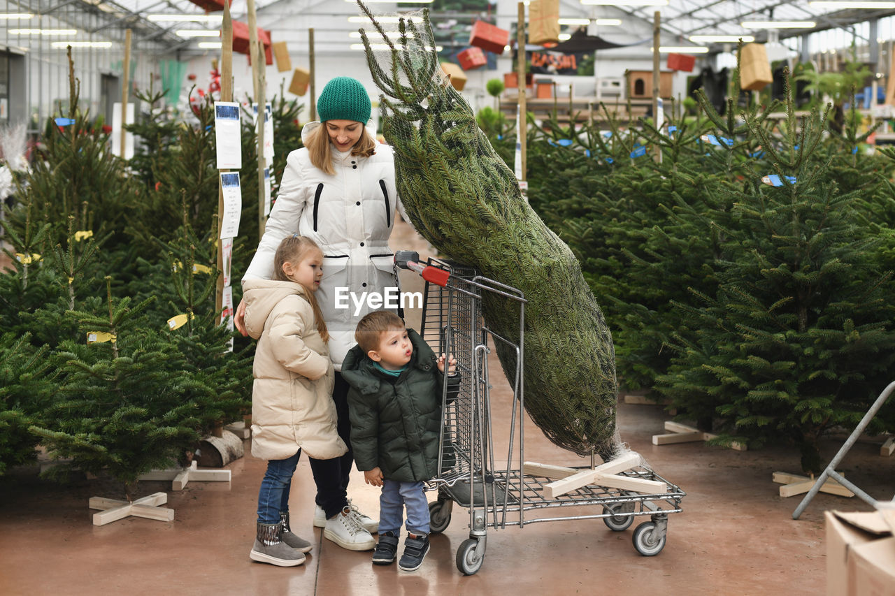 Mother and children choose a christmas tree in the market.