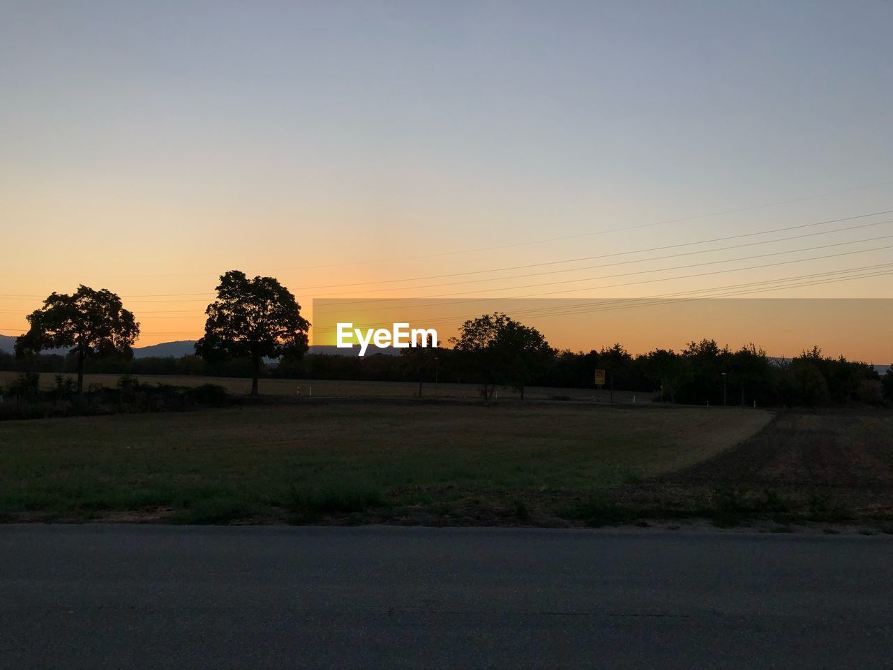 TREES ON FIELD AGAINST SKY DURING SUNSET