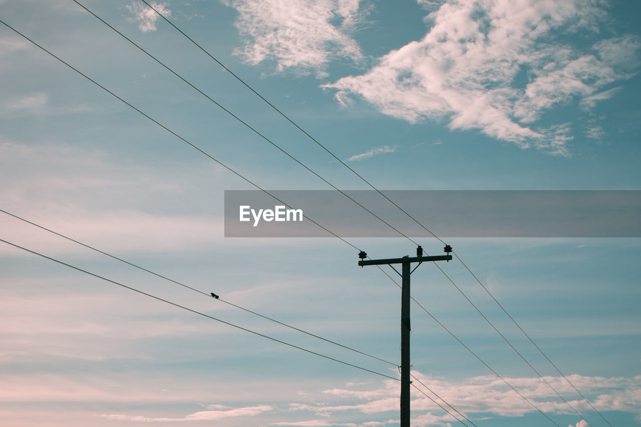 A pair of birds on electricity pole