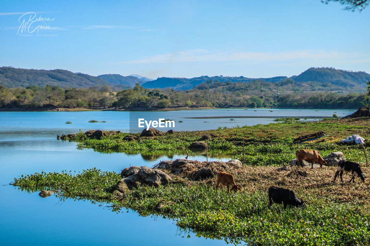 Scenic view of lake and mountains against sky