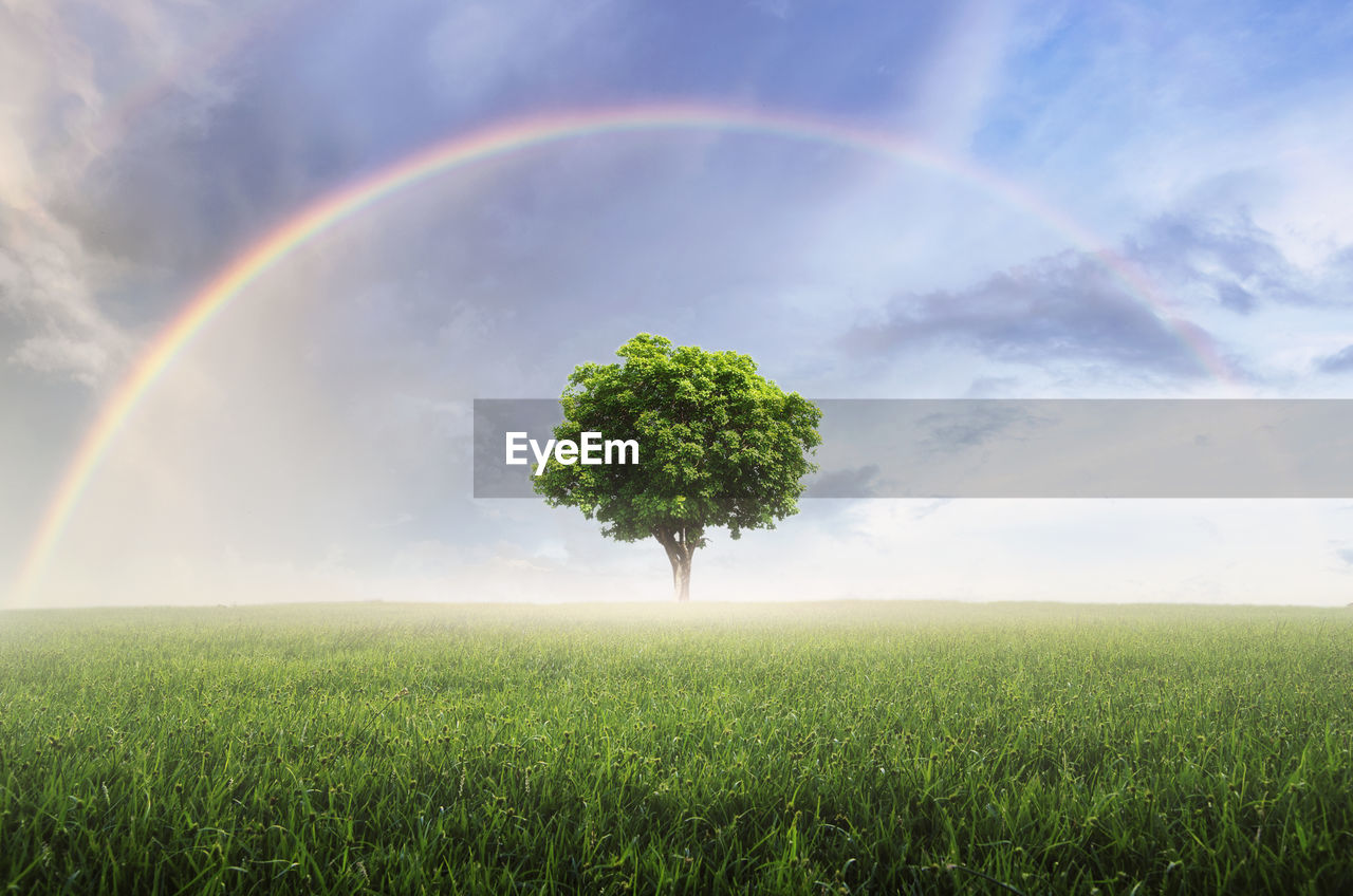 Scenic view of field against rainbow in sky