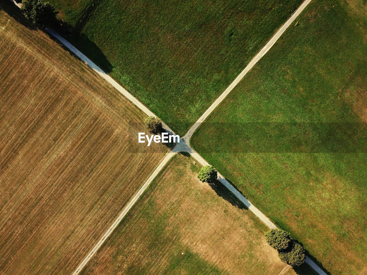 Directly above shot of agricultural field