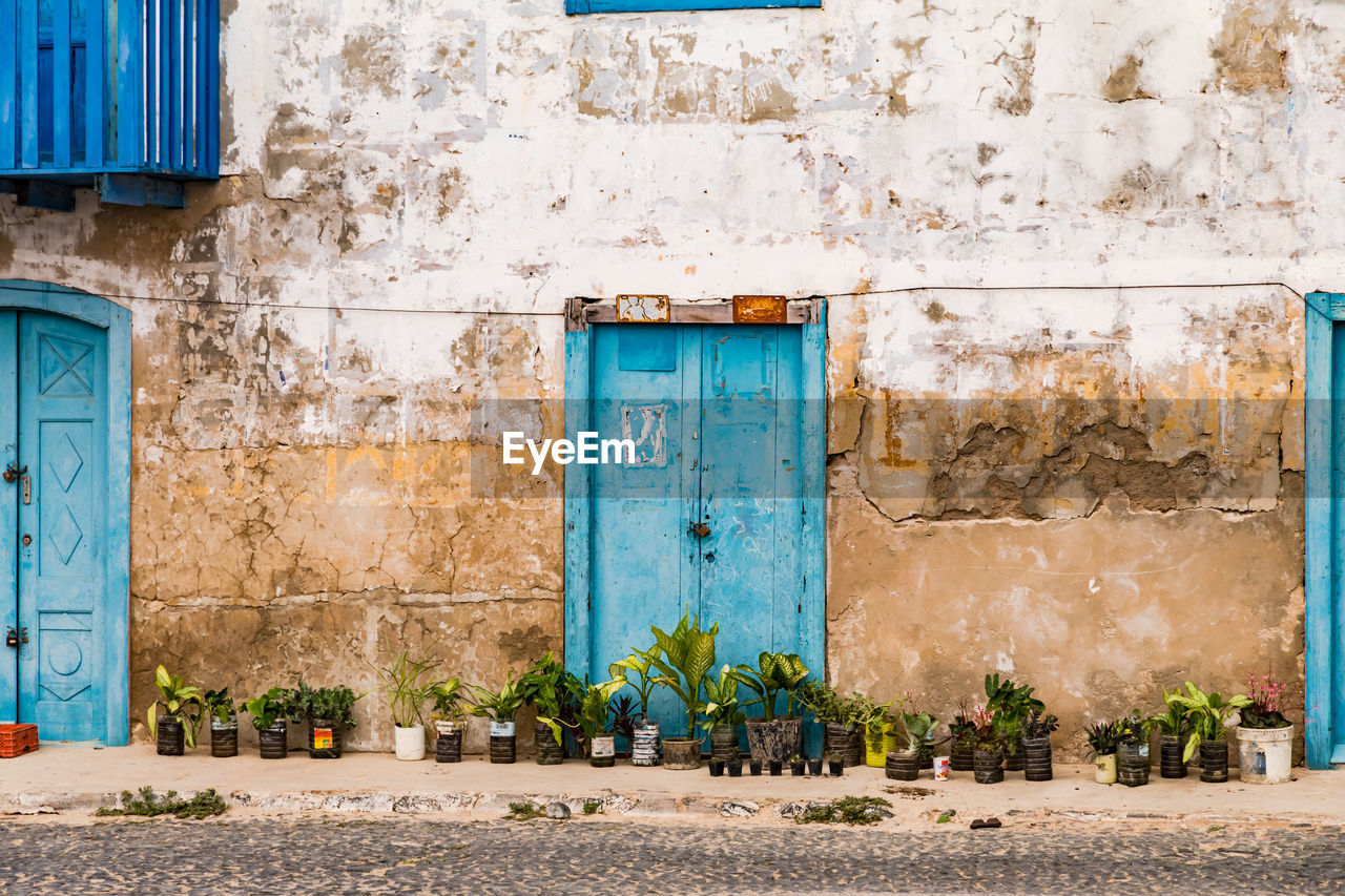 Multiple blue front doors of colonial houses with plants in sal rei on boa vista island, cabo verde