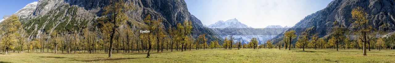 Große ahornboden a scenically impressive alpine pasture old mountain maple in the northern karwendel